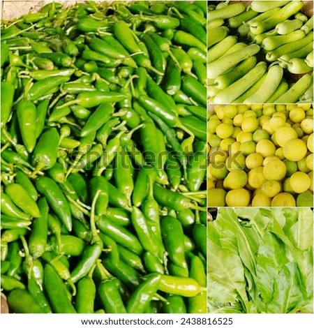 Fresh Green Vegetables Stock Chilies, Lemons, Spinach and Bottle Gourds Stock