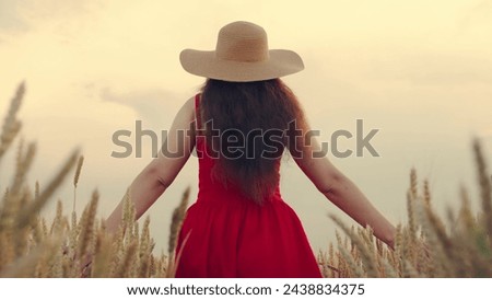Girl in red dress, straw hat walking alone across wheat field. Young girl walk through field with wheat, touching gold ears with hands. Woman farmer walkthrough field, touching ears wheat with hand Royalty-Free Stock Photo #2438834375