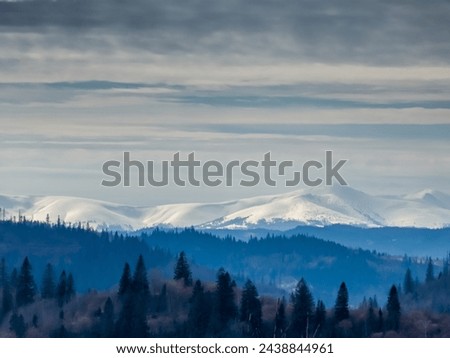 Snow-capped mountain peaks on the horizon