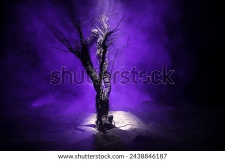 Silhouette of scary Halloween tree on dark foggy toned background with moon on back side. Scary horror winter dead forest at night. selective focus