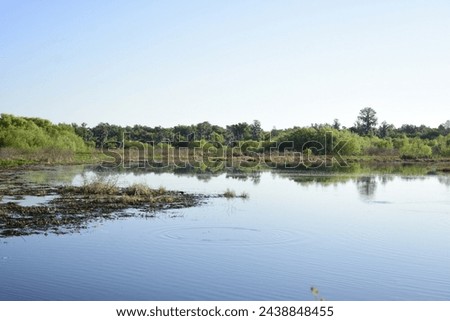 A Landscape Photograph created at a Central Florida nature reserve on March 15, 2024. It shows some of the central Florida animals, Flora and wildlife that live within the wildife Preserve. 