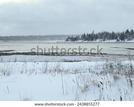 Winter landscape, snow on the ground, white background