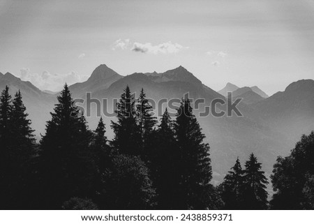 Monochrome image of forest silhouette against mountain range