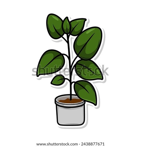 Home plant cartoon style. potted plant isolated on white