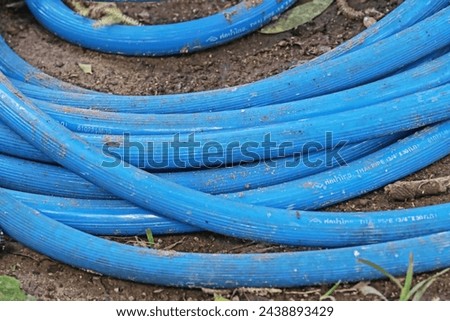 The rubber water tube in the garden