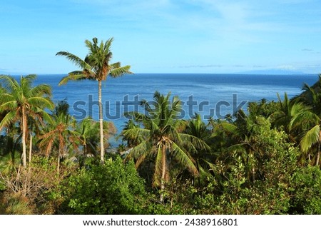 Blue calm sea, green vegetation with palms, native boats, travel picture. View from the tropical island, ocean with the fishing boats in the distance. Adventure trip on exotic landscape.