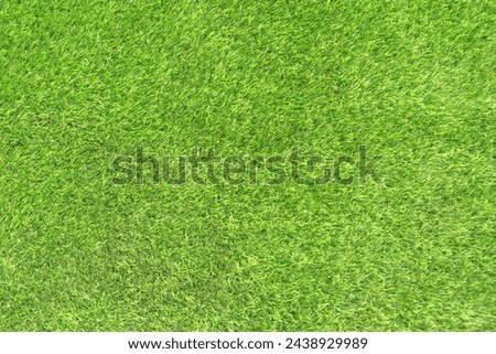 Green grass artificial plant detail closeup texture background with natural light sunny day