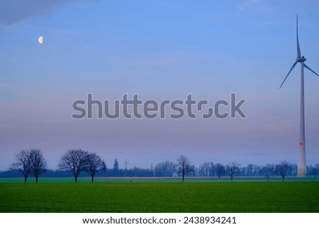 Landscape- trees in green field with Moon