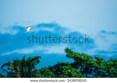 16 March 2024. Ardeidae is flying at the cloudy day Royalty-Free Stock Photo #2438938241