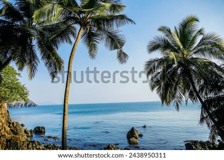 View of tall green palm trees and clear blue waters on a sunny day. Beautiful summer sea landscape. Palm trees overlooking the blue sea during colourful sunset. Peaceful nature view in Goa, India.