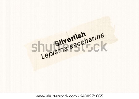 Silverfish (Lepisma saccharina) in English vocabulary language heading and word title with species and genus and meaning with reference to British wildlife and countryside in sepia