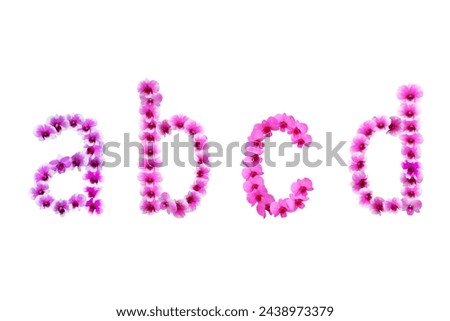 Picture of orchids arranged in letters abcd isolated on white background.