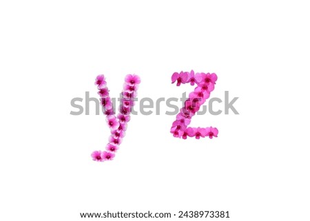 Picture of orchid flowers arranged in letters yz isolated on white background.