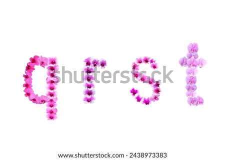Picture of orchids arranged as qrst letters isolated on white background.