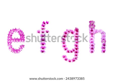 Picture of orchids arranged in letters efgh isolated on white background.