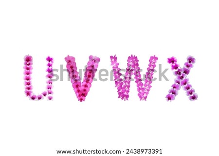 Picture of orchids arranged in letters uvwx isolated on white background.