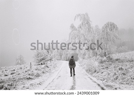 Analog photo of winter landscape with hiker in the distance