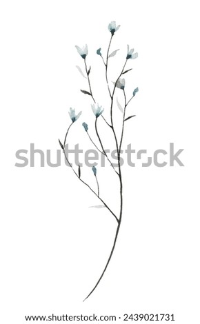 Watercolor painted floral artistic blue, gray wild little forget me not flowers. Hand drawn illustration. Traced vector watercolour clipart drawing.