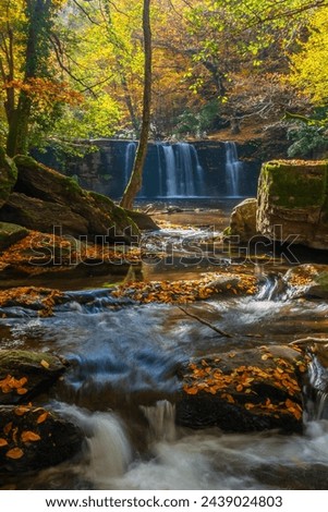 The idea of being in nature and the waterfall flowing through the trees decorated with autumn colors the rocks calmness peace and happiness