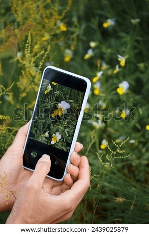 A girl photographer takes a photo of spring flowers on a smartphone in the forest, close-up of the phone screen. Hobby, passion. Women's hands photograph flowers.