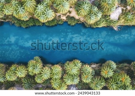 thorn tree 🌲 blue water beautiful photos river photos nice picture seating on background photos 
thorn tree 🌲 blue water beautiful photos 
