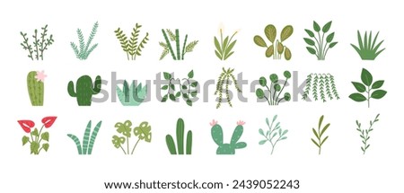 Set of hand drawn house plants, cartoon flat vector illustration isolated on white background. Collection of cute plants - zz plant, pothos, cactus, rubber plant, money tree, lily and bamboo.
