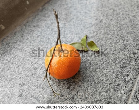  orange picture is delicious fruit everyone like to eat