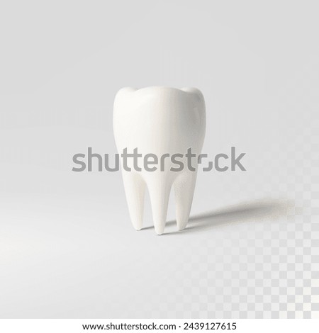 White tooth implant implant cut, healthy tooth or dental surgery.