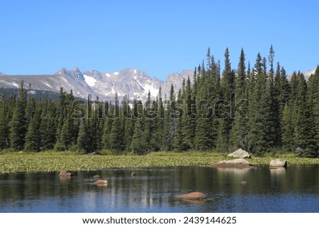 Brainard Lake in Colorado's Indian Peaks Wilderness.  Blue sky, grassy shores and pine trees along shore in Colorado high country.   Royalty-Free Stock Photo #2439144625
