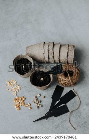 peat cups with soil and seeds stand on a gray concrete background, seeds are scattered nearby, empty peat cups lie, a coil of rope and black signs