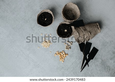peat cups with soil and seeds stand on a gray concrete background, seeds are scattered nearby and empty peat cups and black signs lie