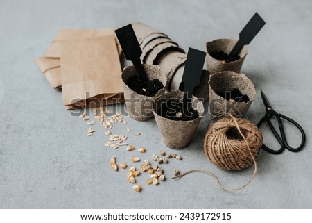 peat cups with soil and seeds stand on a gray concrete background, seeds are scattered nearby, empty peat cups lie, a ball of rope, scissors, paper envelopes and black signs