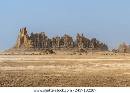 Djibouti, vieuw at the lake Abbe with its rock formations	