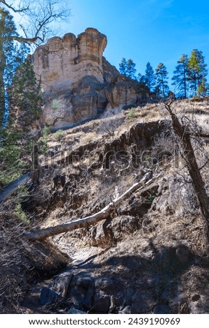 Trail from the mouth of Cliff Dweller Canyon up to the Gila Cliff Dwellings.  Royalty-Free Stock Photo #2439190969