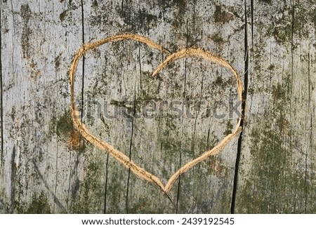 heart carved on a tree background, declaration of love, Valentine's day