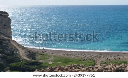A view from the top of a high hill to a long sandy beach, with turquoise water, green grass on the hillsides and a rocky bottom, people in the foreground swimming or laying out, a clear sky, zoomed 