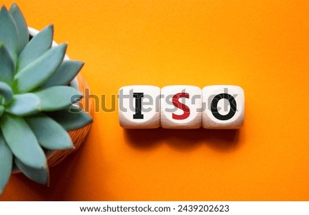 ISO standards quality control symbol. Concept word ISO on wooden cubes. Beautiful orange background with succulent plant. Business and ISO concept. Copy space.