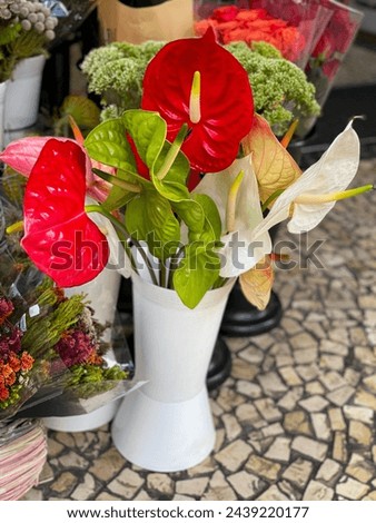 Bouquet of red, green and white Anthurium andraeanum flamingo flowers in white vase in flower shop market Royalty-Free Stock Photo #2439220177