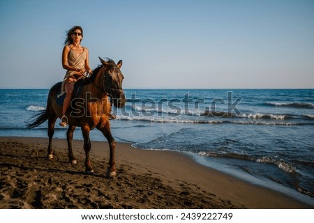 A young attractive lady is horseback riding on a beach at summertime at sunset. A majestic picture of a young seductive lady riding a horse who is galloping on a beach near the sea water at summertime
