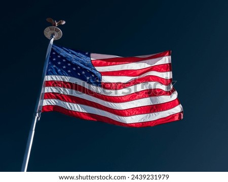 The flag of the United States of America flying in the wind on a black background
wafting
