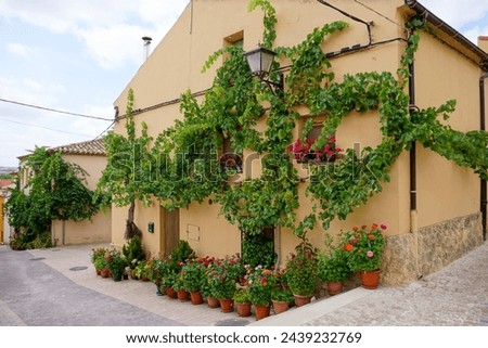 Nice street decorated with plants