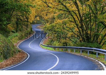 Beautiful autumn stretch of curves on a rural road between deciduous forests near Portomarin in Lugo Galicia Royalty-Free Stock Photo #2439249995