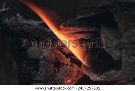 Burning wood Horizontal || Leña quemándose 