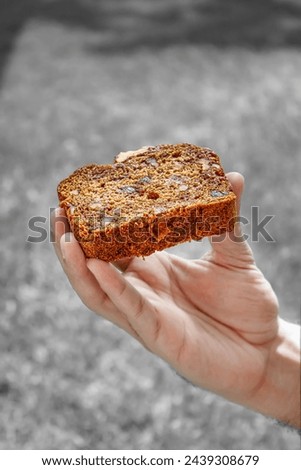 plum cake in high resolution image and isolated with blurry ends