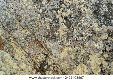 Rock Details at the Tasmanian Coast, Australia