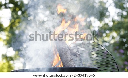 a low-angle shot of a smoky fire with wood in a grill and blurry trees in the background                   