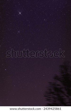 Milky way stars with tree silhouette.