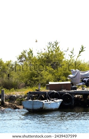 The dinghy is tied to a makeshift dock. Old wooden boat on the Dalyan river. Landscape. Nature. No people, nobody. A peaceful and quiet environment. Vertical photo. 
