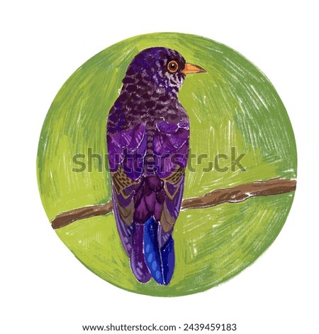 Watercolor illustration of a purple bird. Violet cuckoo. Isolated on a round green decorative background. For stickers, educational materials, cards, prints