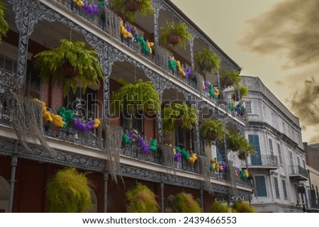 Mardi Gras colors adorn fern filled balconies in downtown New Orleans Royalty-Free Stock Photo #2439466553